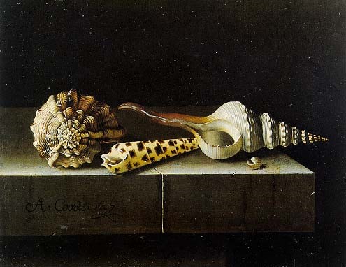 Schelpen, Adriaen Coorte, olieverf op doek, 1697, Bron: https://encyclopedievanzeeland.nl/Schilderkunst